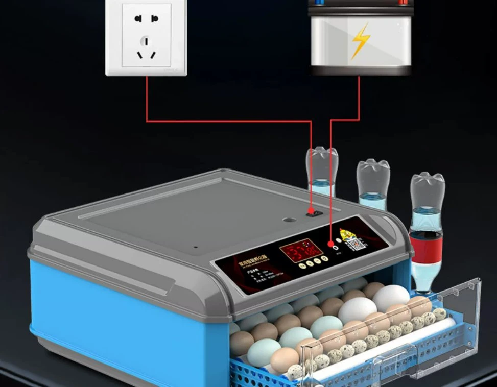 Farm Machines Chicken Duck Goose Fully Automatic Mini Egg Incubator