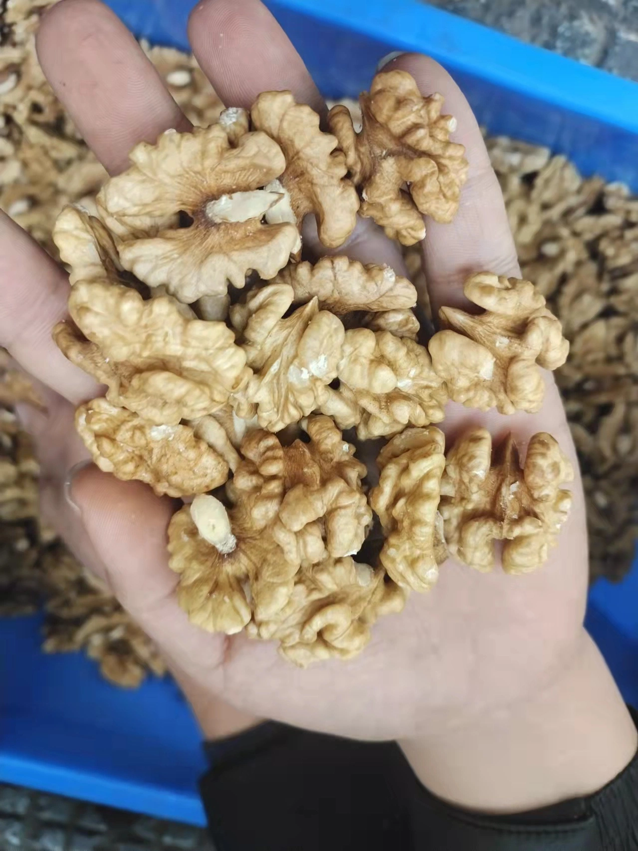 185 Best Taste Walnut Kernels Xinjiang
