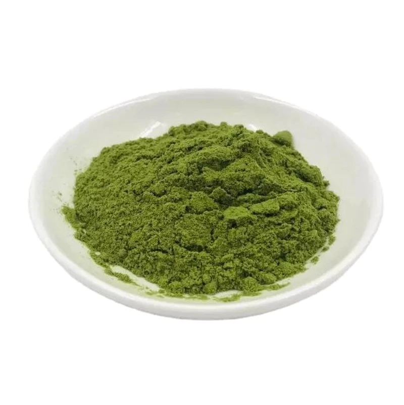 Supply Peppermint Leaf Extract for Health Care