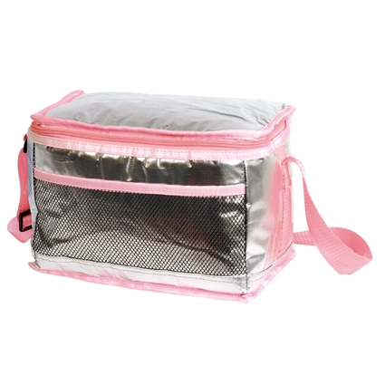 La superficie de color plata Shinny 25L de capacidad aislante térmico de Picnic de fruta de la bolsa de enfriador de lámina de agua potable