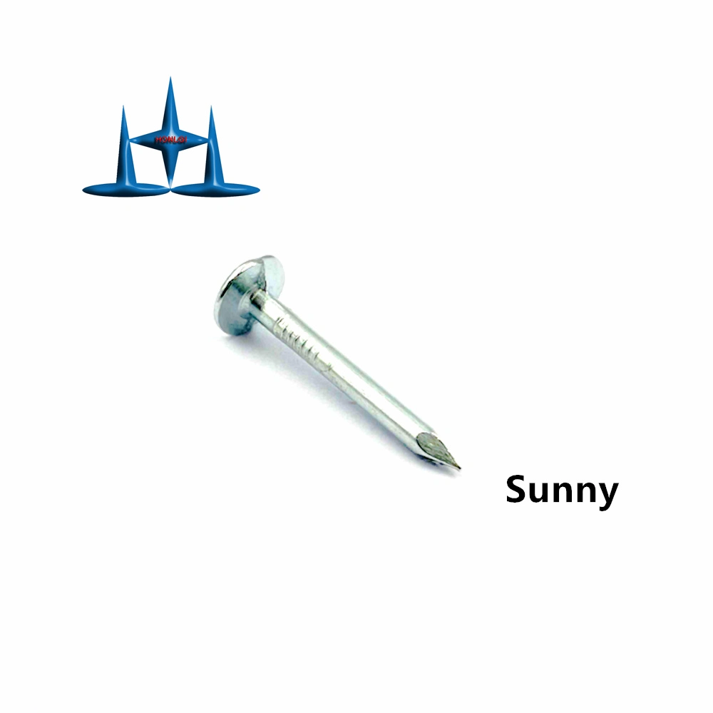 ASTM F 1667 1-1/4 بوصة X 11 سم SM مثل السقف سقف أظافر السوق الأمريكية النيلز سطح السوق الكندية صنع الأظافر في الصين مصنع سقوف الأظافر