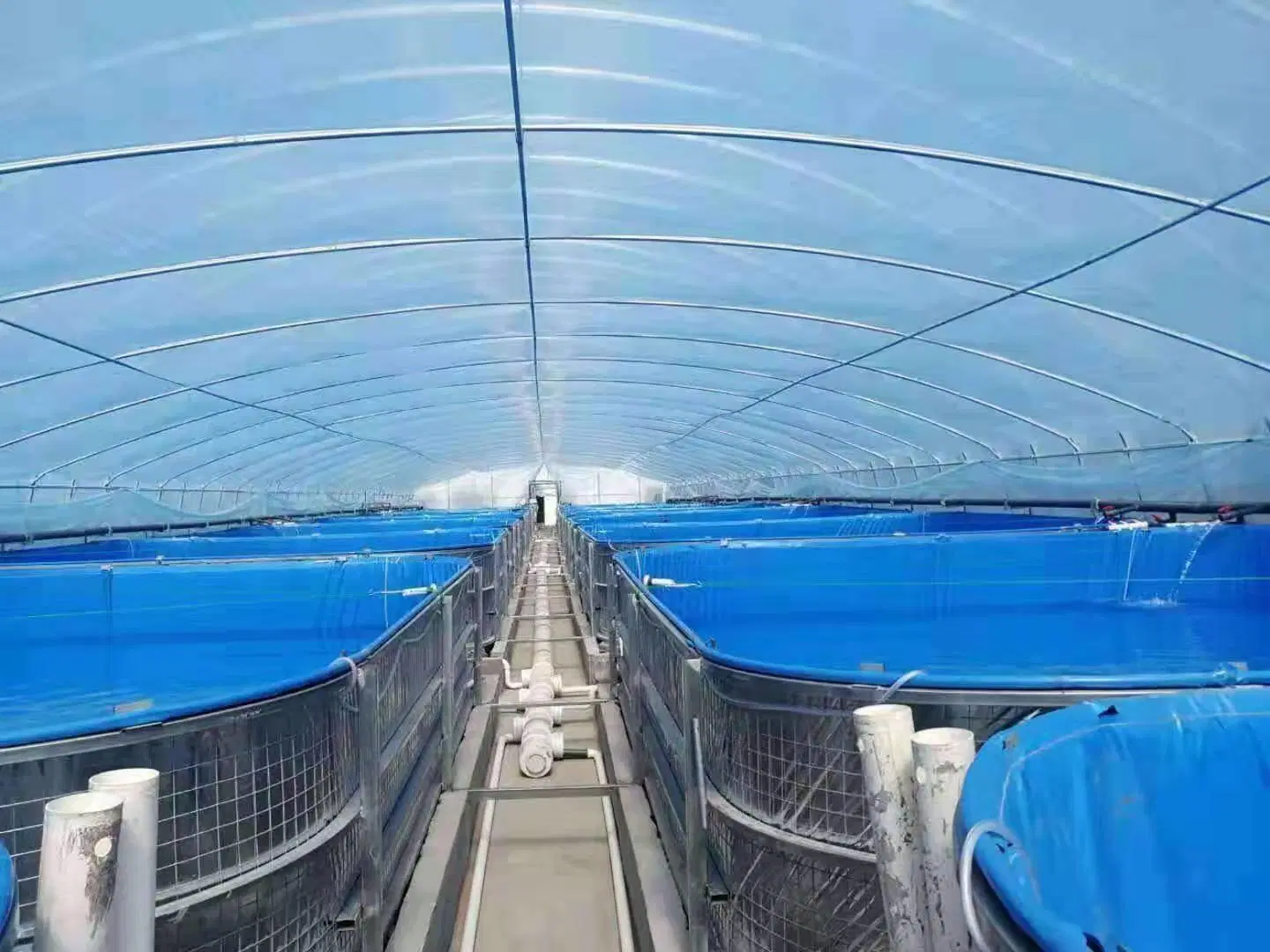 Film-Coated Greenhouse with Anti-Corrosion Treatment