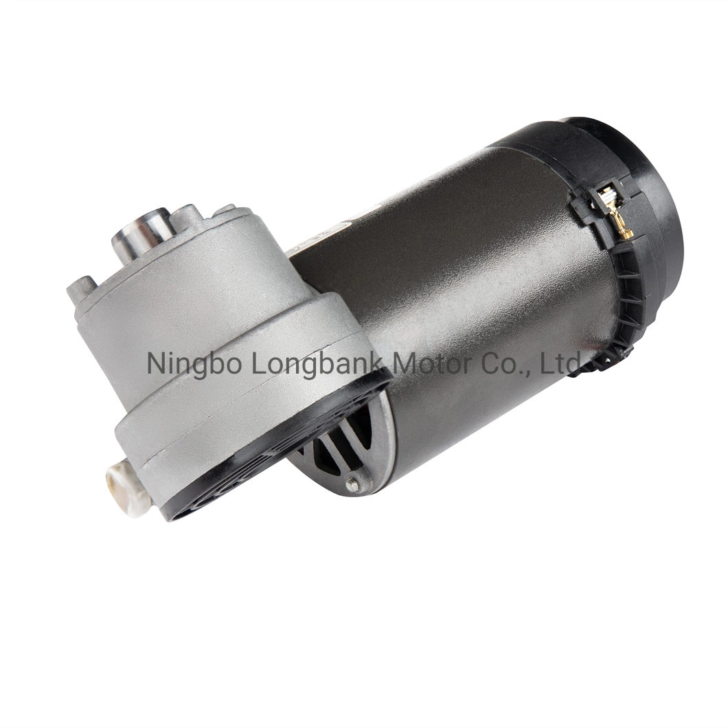 Longbank D00 150W 220V 110V 68mm 13nm Low Speed Home Appliance Slow Juicer Electric DC Gear Motor