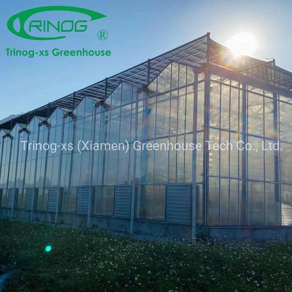 Low Cost OEM Multi-span Galvanized Steel Pipe Structure Glass Greenhouse for Seeding Planting