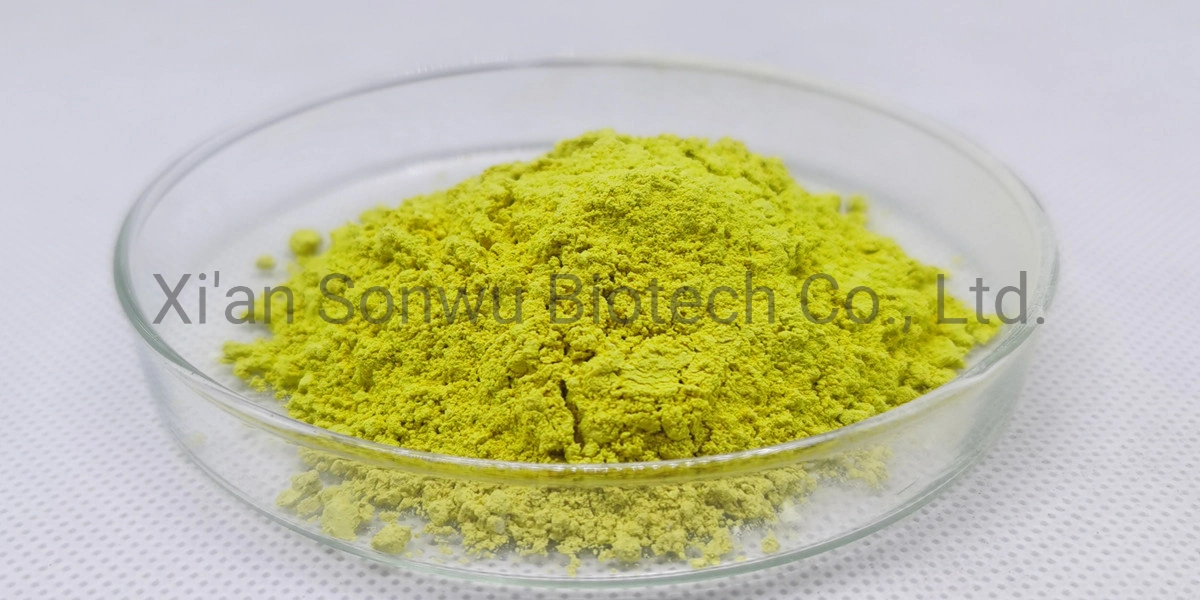 Sophora Japonica Extract Quercetin Powder OEM Capsules Quercetin