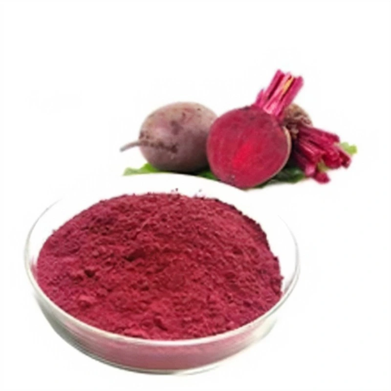 ISO Certified Plant Extract/ Organic Beetroot Extract / Betaine Beet Root Extract / for Lowering High Blood Pressure