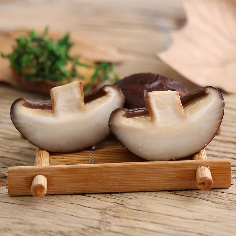 Bulk Shiitake Pilz Getrocknete Landwirtschaftliche Lebensmittel