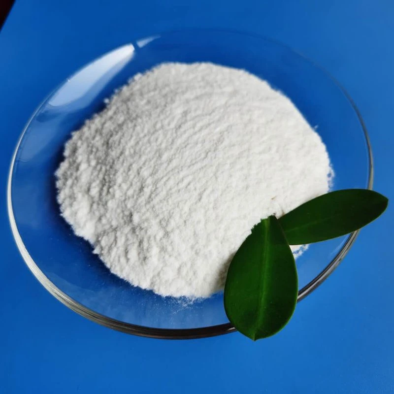 High quality/High cost performance  Dry Mixed Mortar Additive HPMC/Mhec/HEC/CMC Building Chemicals