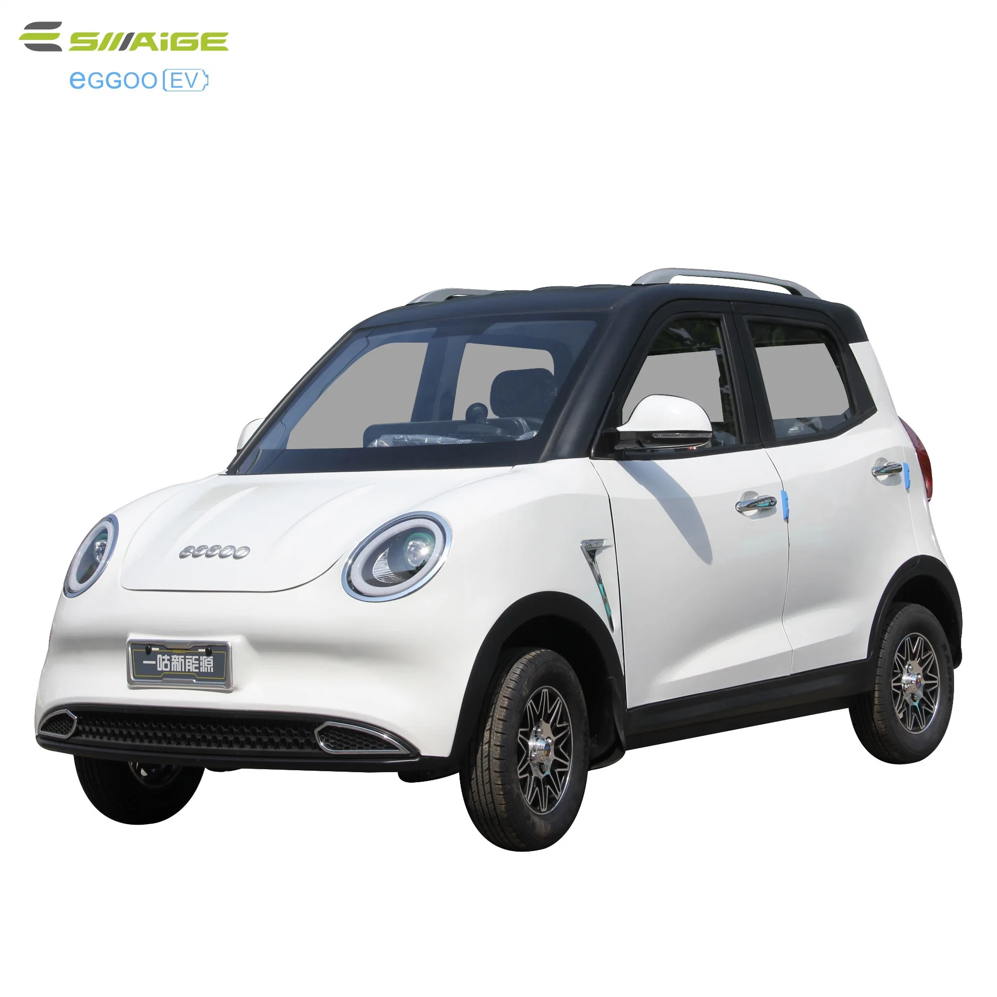 Saige Luxury 3000W 45km/h mit Klimaanlage und Rückfahrkamera 60V100ah LED-Bildschirm Elektroauto