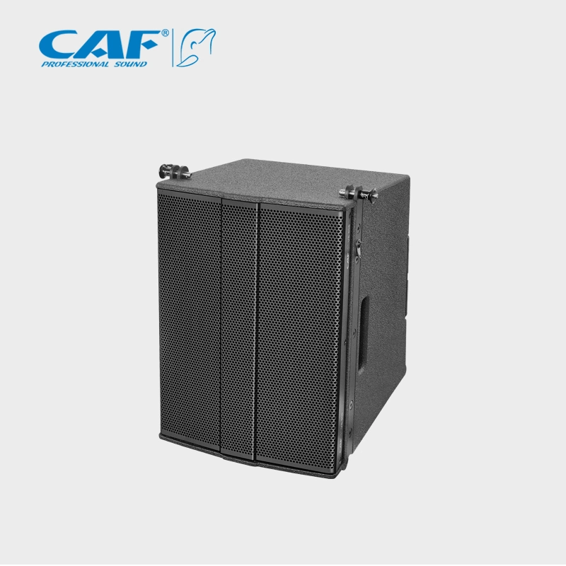 صوت مجموعة سماعة مصفوفة الصوت عالي الجودة Vs-808 Professional Audio Line Array المعدات