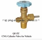 CNG Cylinder Valve with CE Certificated (CTF-1)