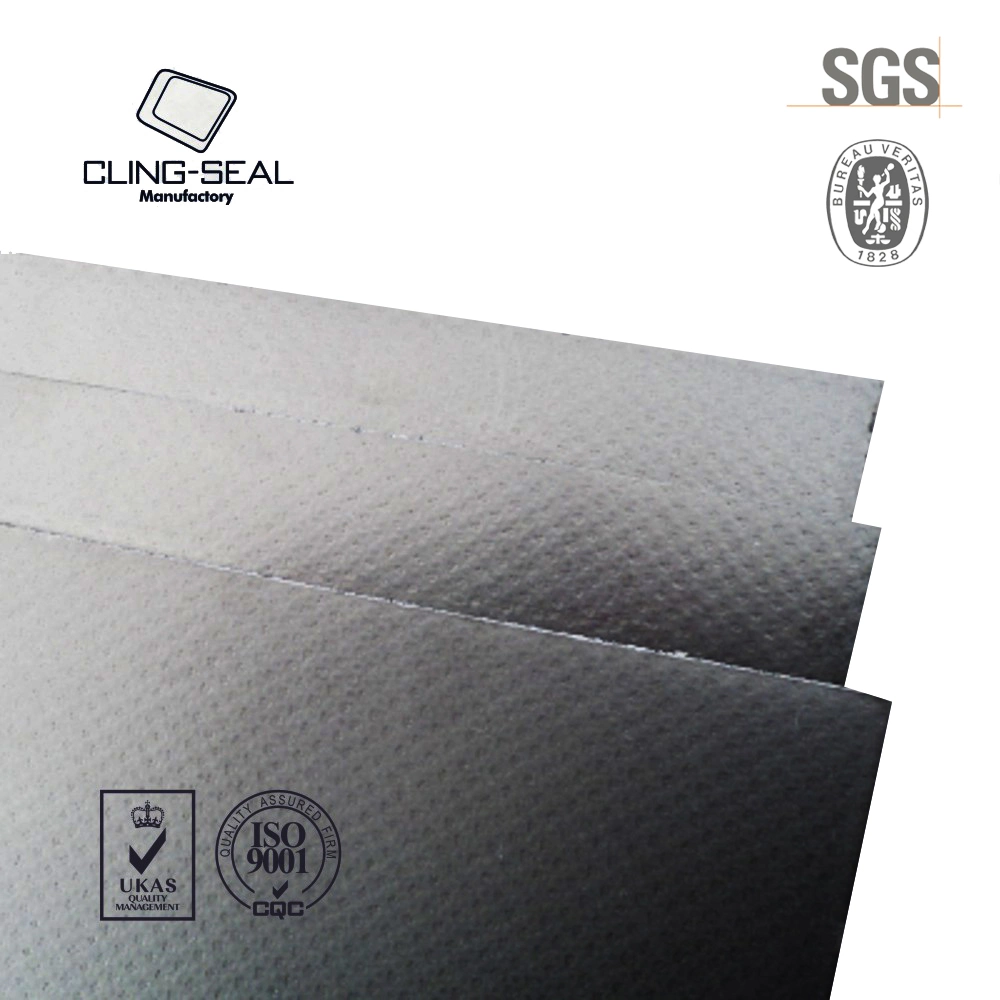 with SS304 Tanged Insert Reinforced Graphite Sheet