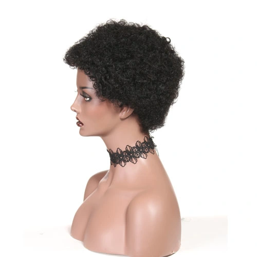 Afro Wigs for Black Women Short Human Hair Wigs