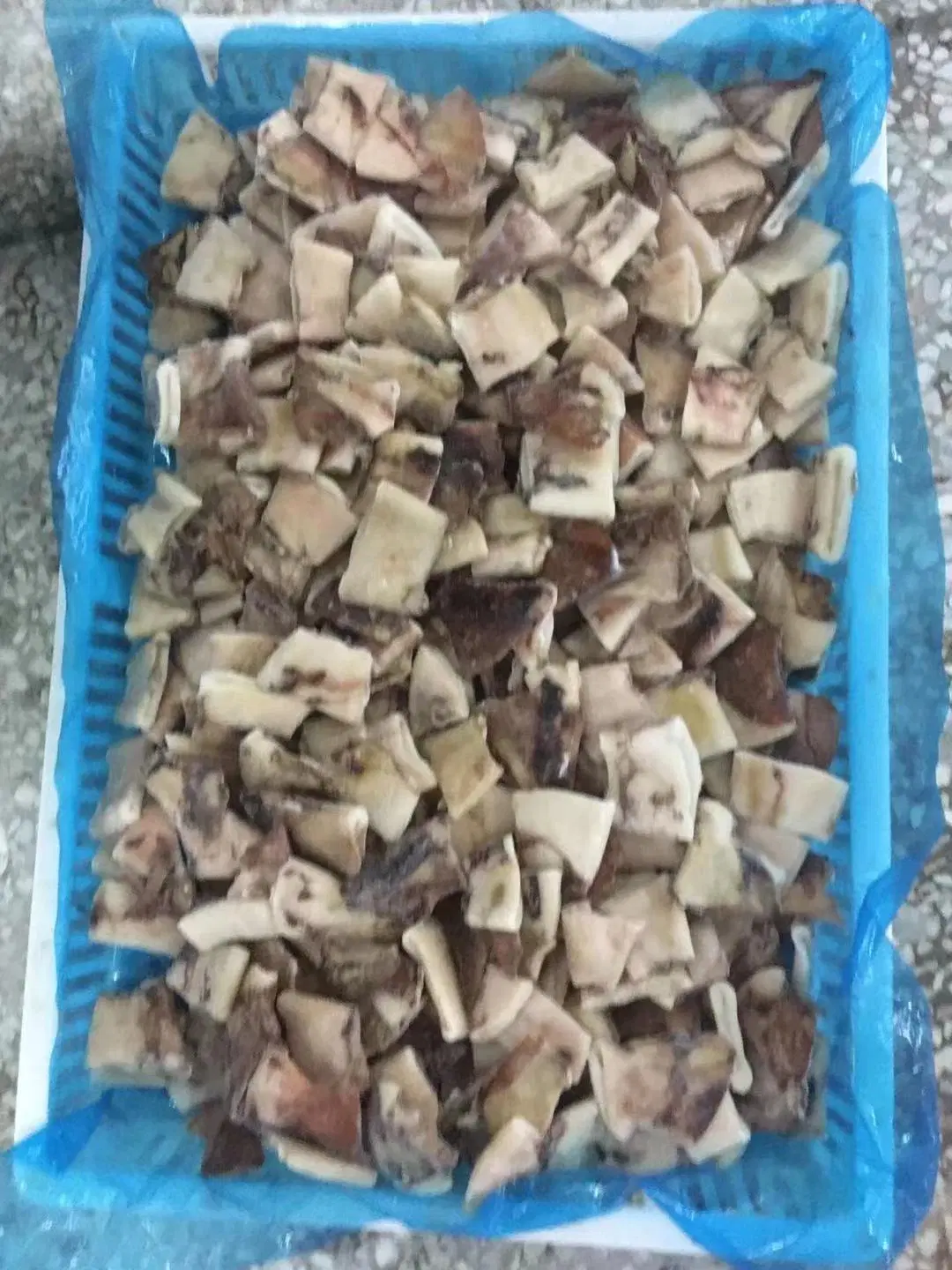 Frozen Squid Cutted Pieces, Loligo Chinensis