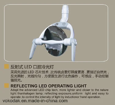 Hot! Sale Cool White Dental Oral Operating Lamp with LED