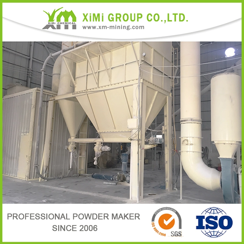 China Chemical Professional Manufacturer of Uses Calcium Carbonate with SGS Certificate