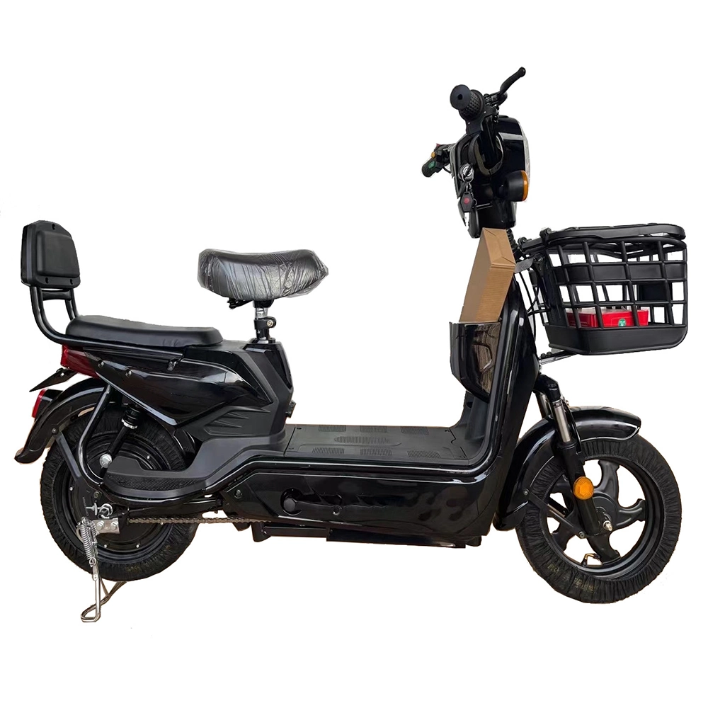 Tjhm-007ss tricycles électriques scooter de vélo électrique adulte vélo électrique Vélo électrique vélo électrique électrique