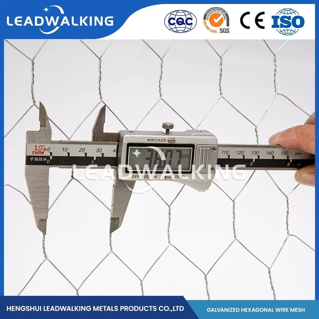 Leadwalking China Square Hole Chicken Wire Manufacturers Mild Steel Wire Material 3/8 Inch Mesh Iron Wire Hexagonal Mesh