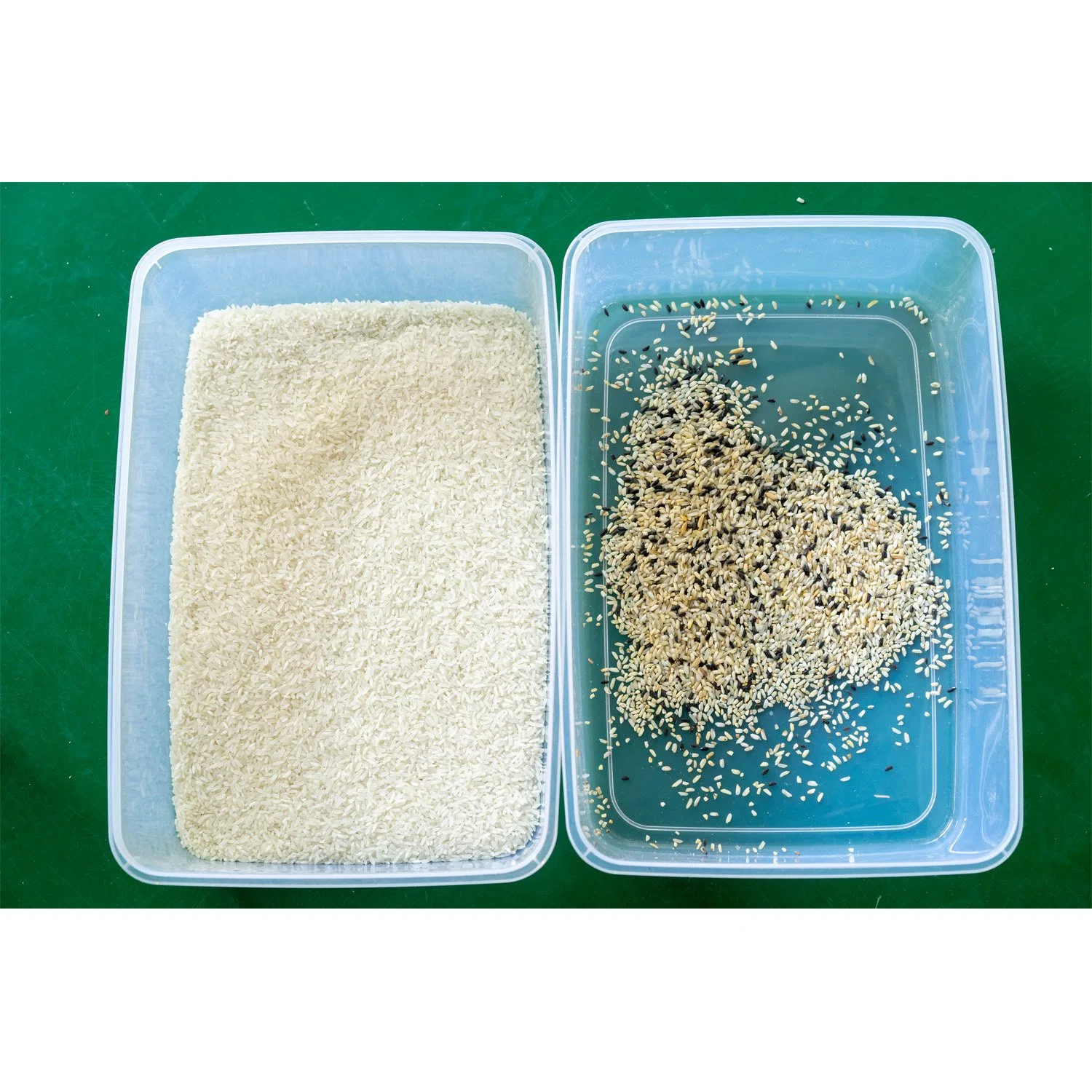 Mini Rice Color Sorter Rice Processor Rice Separation Machine for Home Use