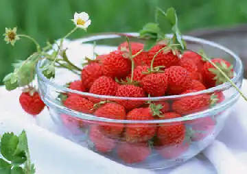 Freeze Dried Strawberry Powder for Functional Food and Beverage Ingredients