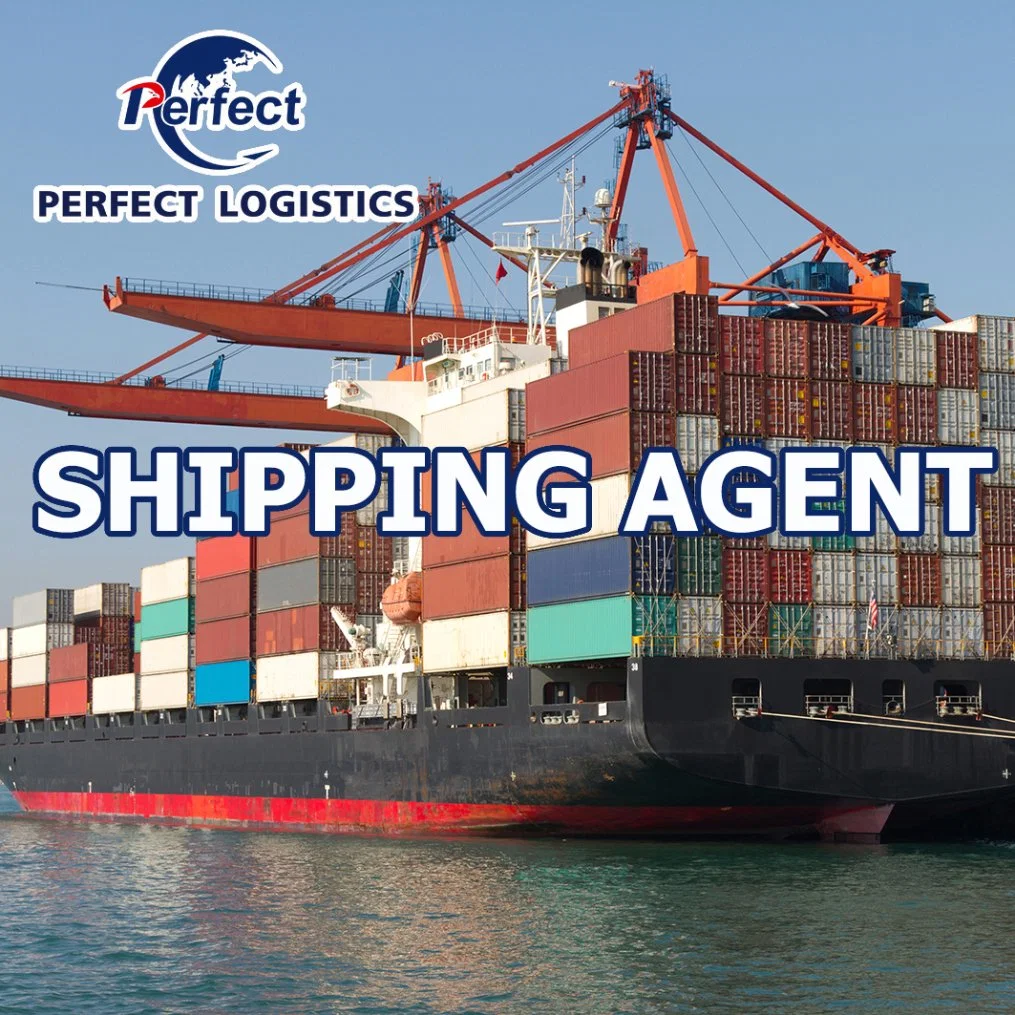 Ocean Shipping Fowarding Agent From China to Estonia/UK