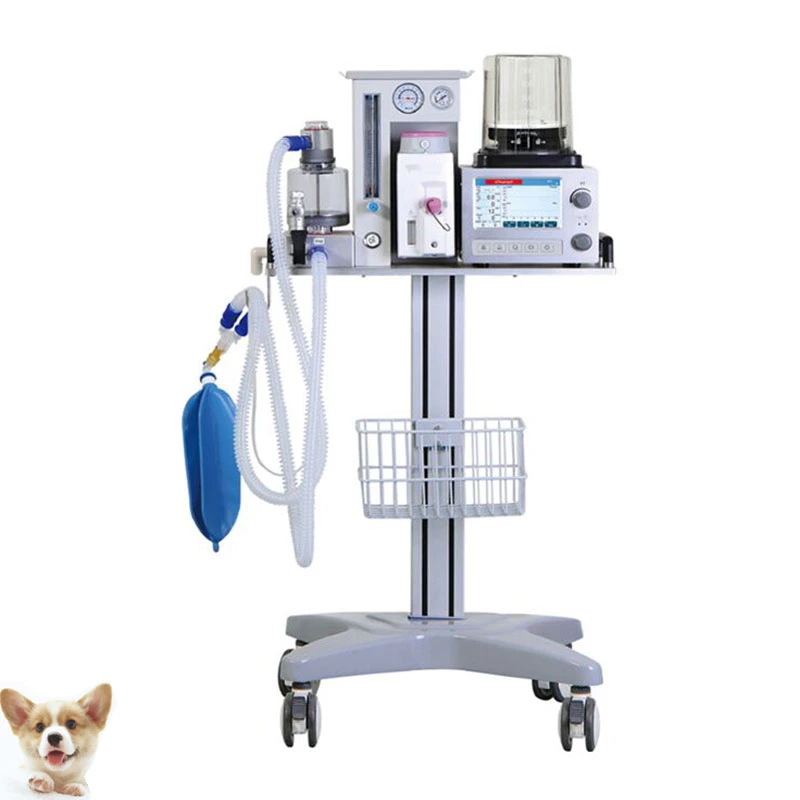 Medizinisches Krankenhaus Anästhesiegeräte Medizinisches tragbares Vet Anästhesiesystem für Pet Clinic