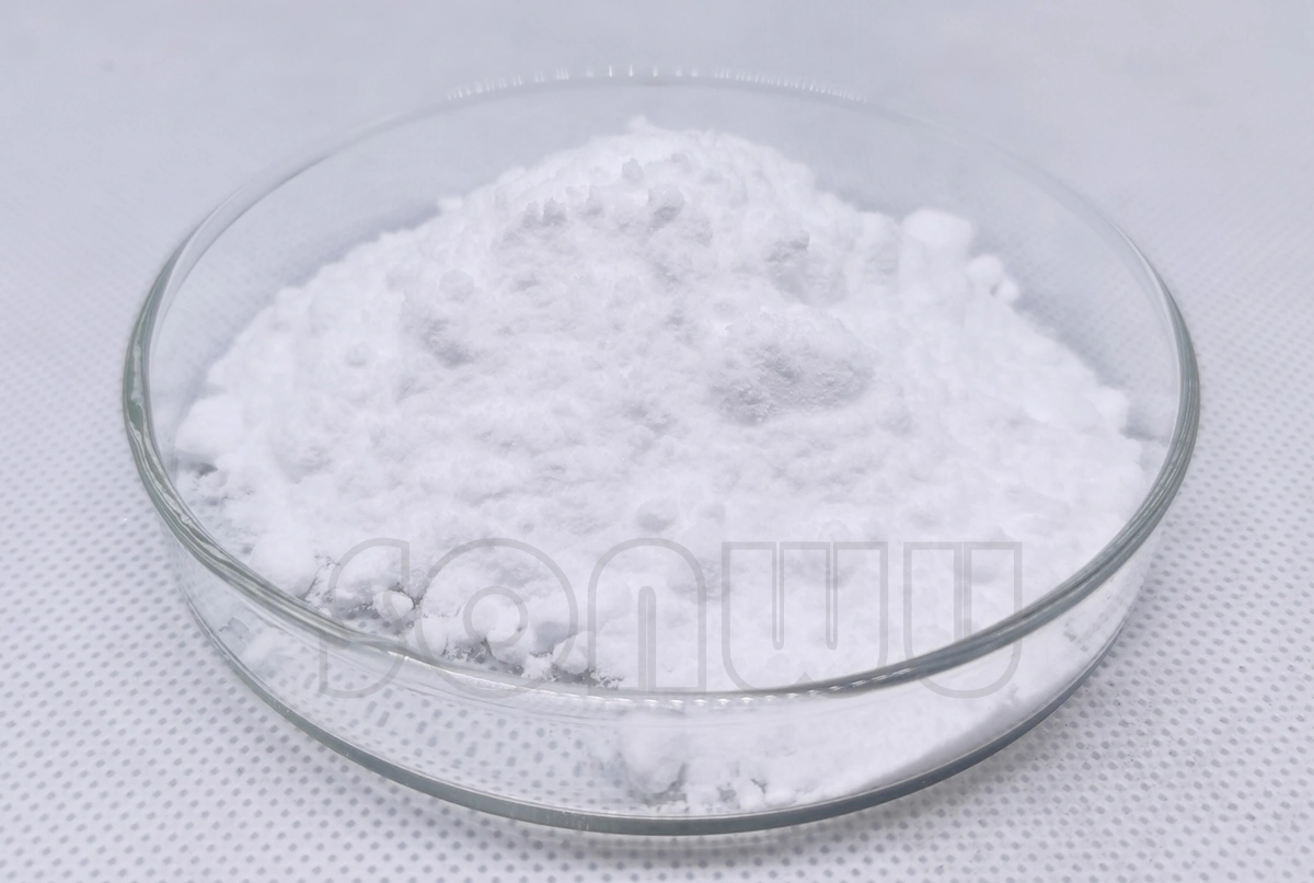 Sonwu Supply Research Chemicals Pramiracetam Raw Powder Pramiracetam