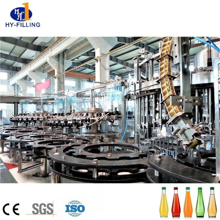 Hy-Filling 2019 Complete Fruit Juice Processing Line Juice Filling Plant on Sale for Glass Bottles