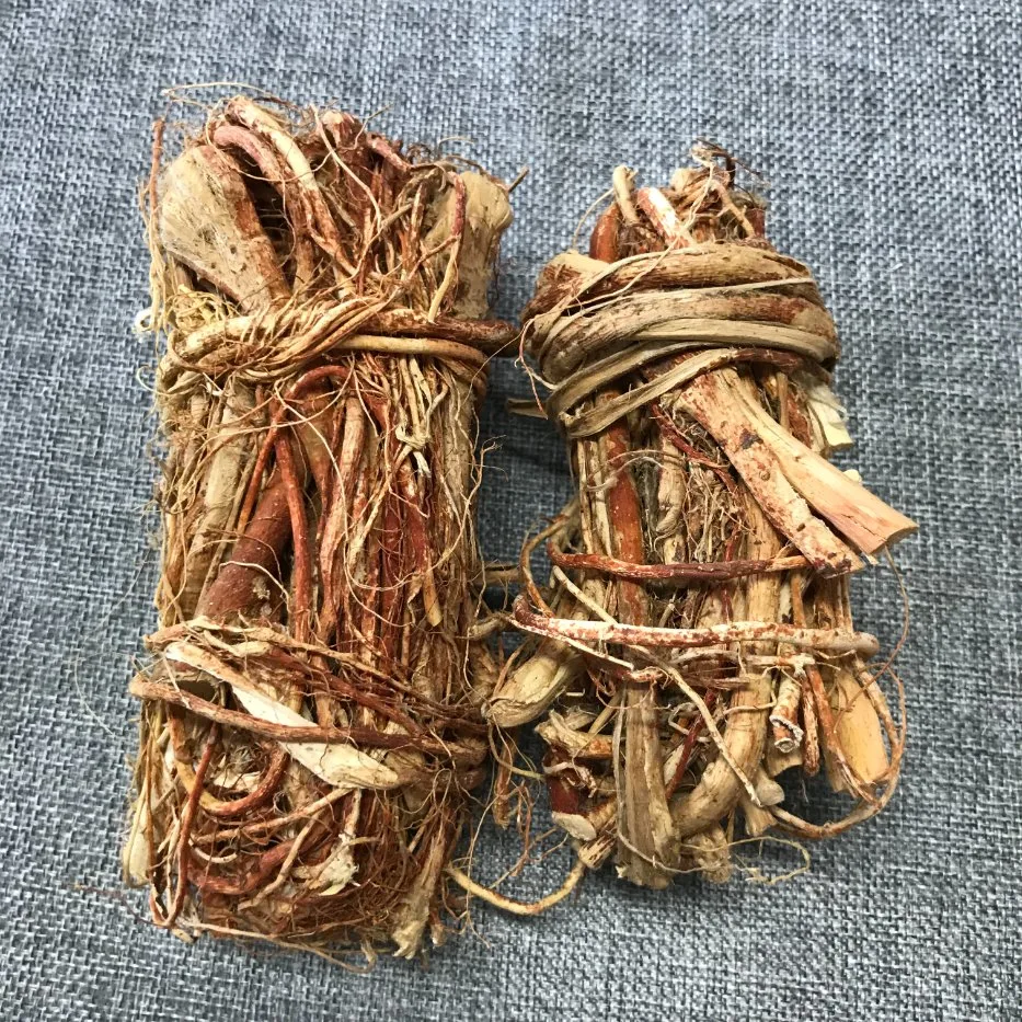 Nan Qi Wu Zhi Mao Tao Free Sample Chinese Herb Medical Radix Fici Simplicissimae (wu zhi mao tao)