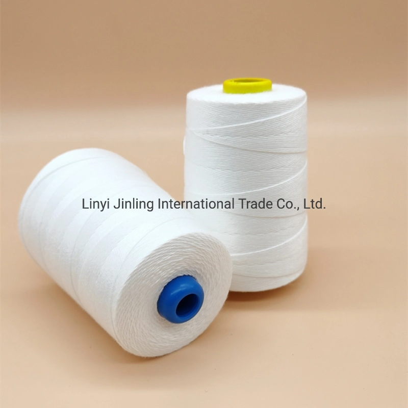 Sample Free Polyester Thread Bag Closing Thread 12/4 for Jute Bags and PP Bags