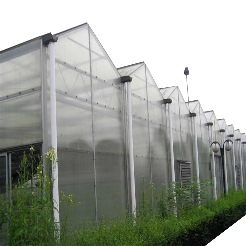 Hydroponic Garden Propane Victorian Greenhouse Heaters Glass Cost with Good Transmittance