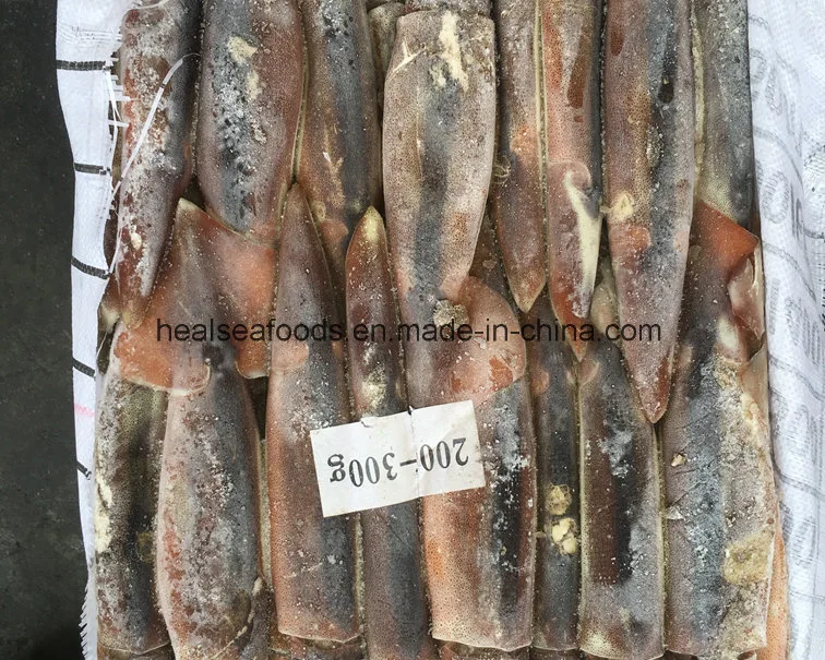 12.5kgs Bqf Squid Illex Argentinus Squid From China