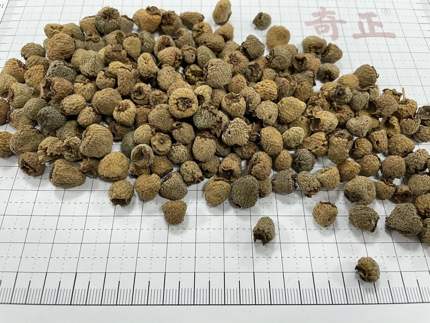 Blaeberry Natural Fupenzi Fructus Rubi Chinese Supplier Hot Sale Chinese Traditional Herb Dried