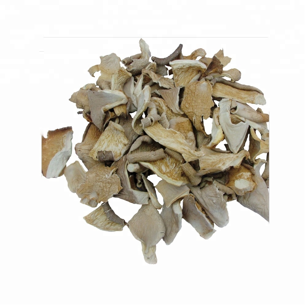 China Dried Mushroom Dehydrated Pleurotus Ostreatus Oyster Mushroom