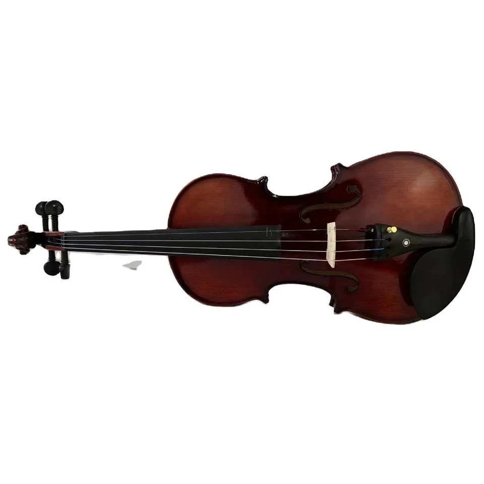 Hot Maple Advanced Sale China Carriage Case Violin