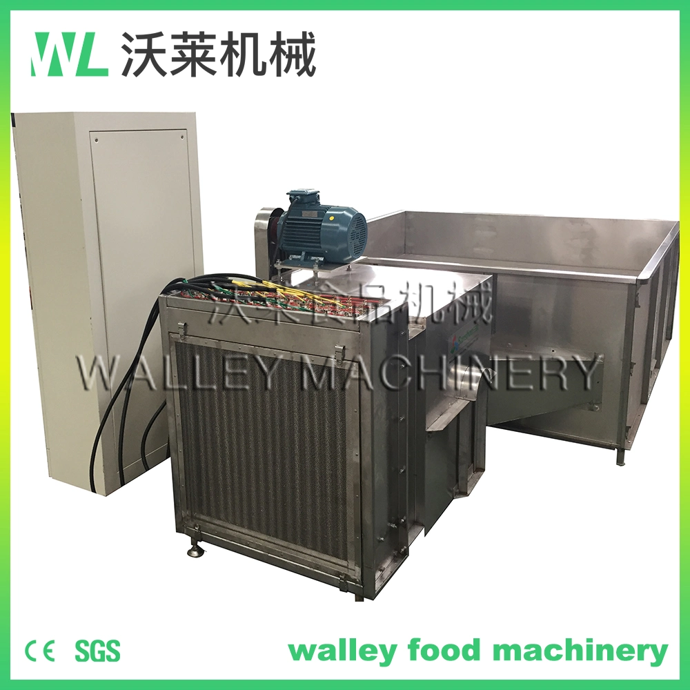 China Steam Gas Electrical Box Vegetable Drying Machine Bin Dryer