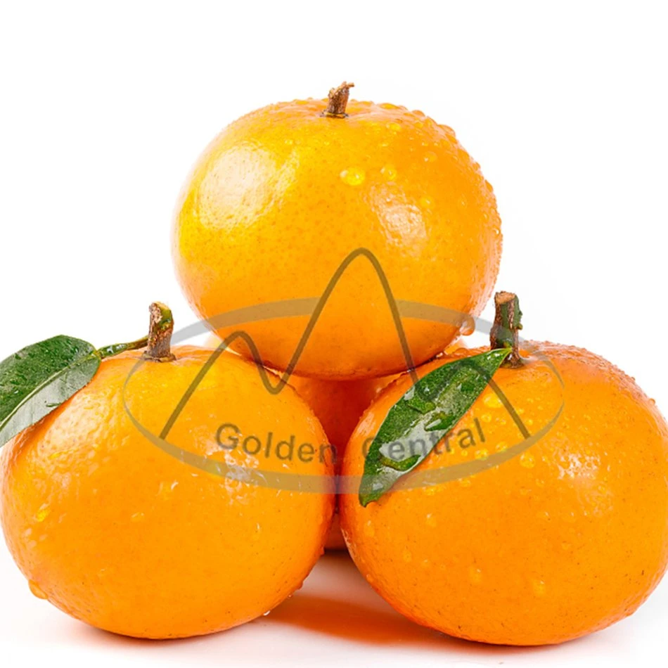 Suministro de calidad superior Natural de naranja fresca de Wogan delicioso de frutas Wogan