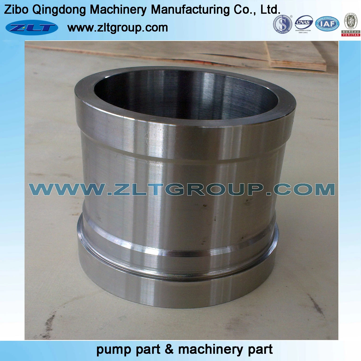 Sand Casting Customized Pump Flange in Stainless Steel /Carbon Steel CD4/316ss