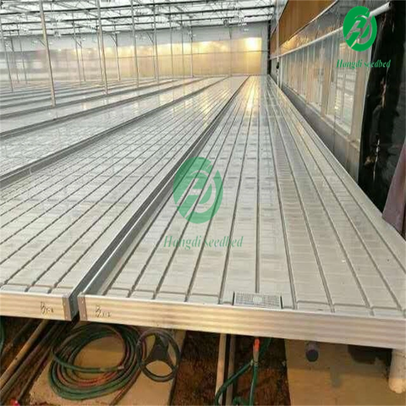 Drip Fertilization System Efficient Tool Seed Greenhouse Rolling Workbench with Hydroponic Tray