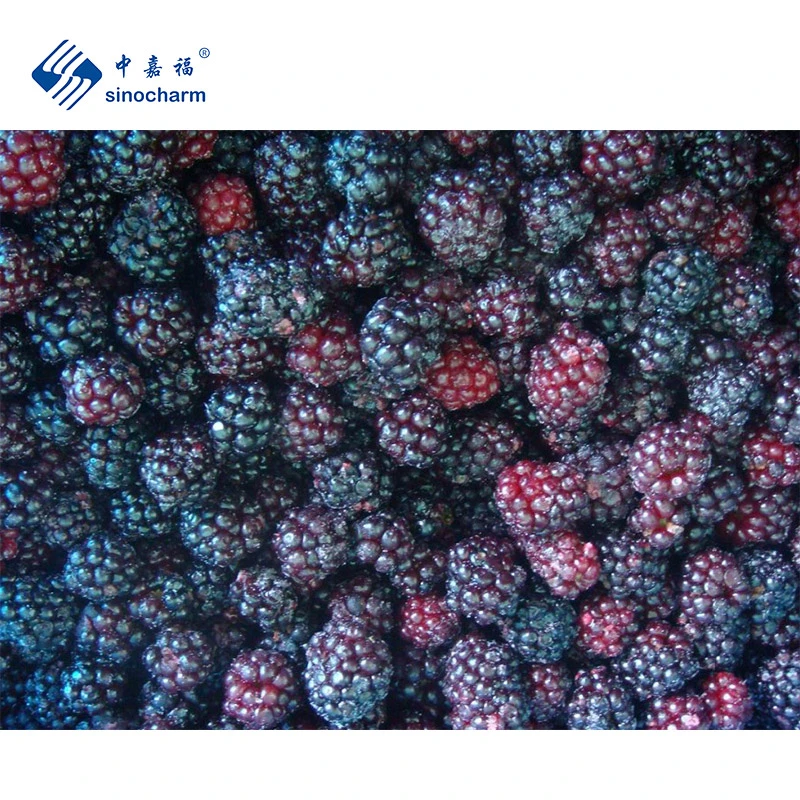 Sinocharm Frozen Berries IQF Fruit Whole 1kg Frozen Fresh Blackberry with Brc a Certification