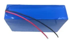 Un38.3 Certificate 36V 20ah 18650 Lithium Ion Battery Packs with BMS for Electronic Appliances