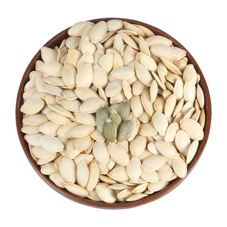 Meilleure qualité Chinois cru Green Pumpkin Seeds noyau chaud Vente