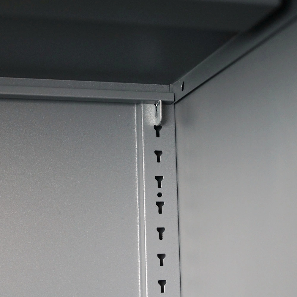 Large Space Fire Resistant Steel Glass Bulk 2 Door File Filing Display Cabinet