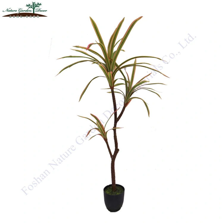 Custom Artificial Dragon Blood Tree for Coffee Shop Indoor House Plants