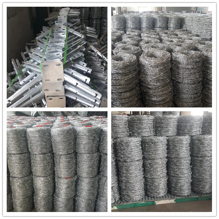 Reverse -Twist Barbed Wire for Fencing Factory Price 500m Per Roll Malaysia