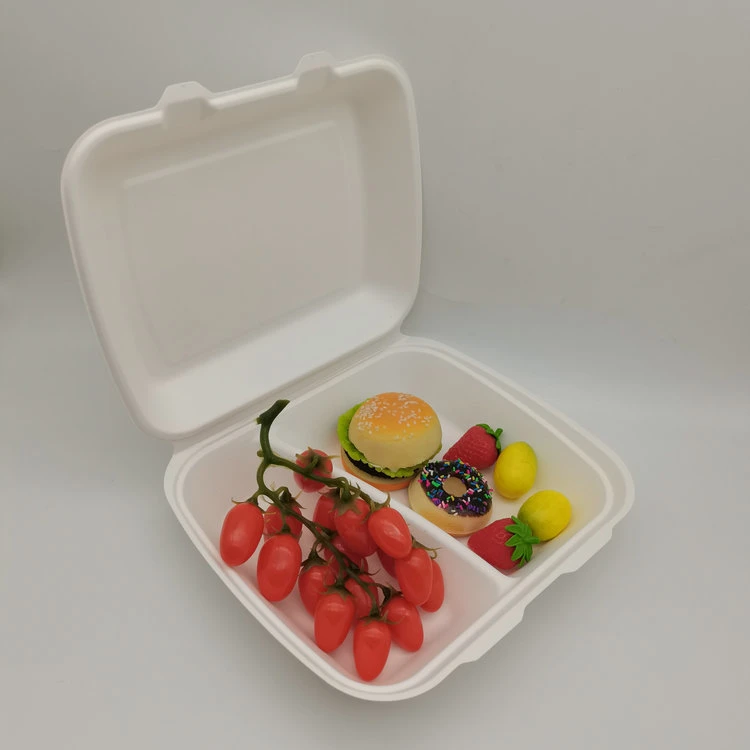 Ok-Compost 8 Inch Biodegradable Sugarcane Bagasse Fiber Paper Clamshell Takeaway Food Packaging Box Container