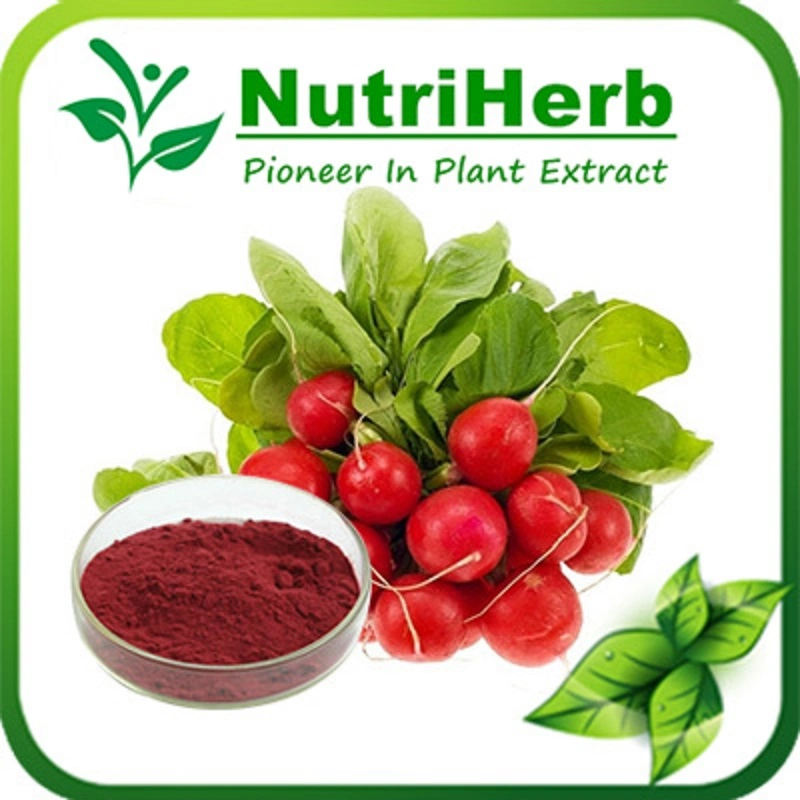 Natural Food Color Radish Red Pigment Powder, Red Radish Juice Color Powder