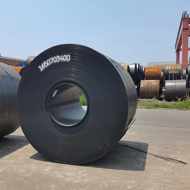 Stock 1 Year Standard Sea Packing Marine Grade Coil Carbon Steel