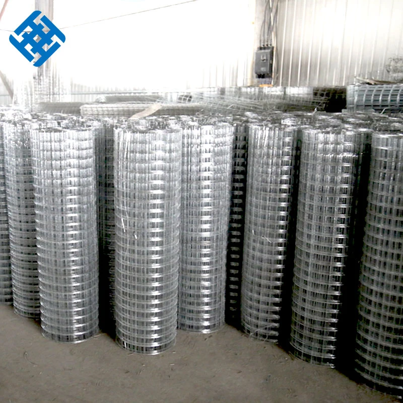 1/2""X1/2' Steel Galvanized Welded Wire Mesh for Buildng