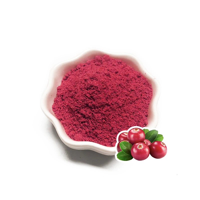 100% Natural Smoothie Fruit Powder Freeze Dried Cranberry Extract Powder
